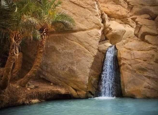 Villa Atlas Oasis Shabikah Exterior foto